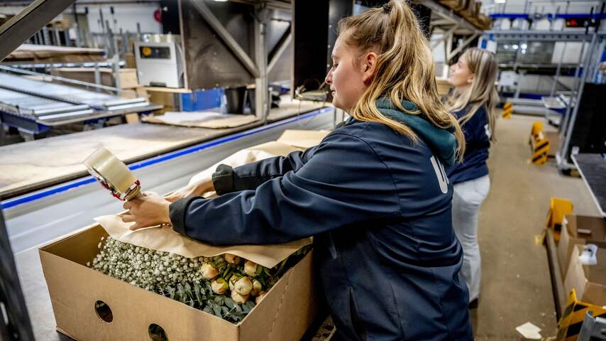 Niet-Nederlandse uitzendkrachten vaker op staande voet ontslagen