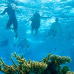 Onderzeeër met toeristen zinkt voor Egyptische kust, zes doden