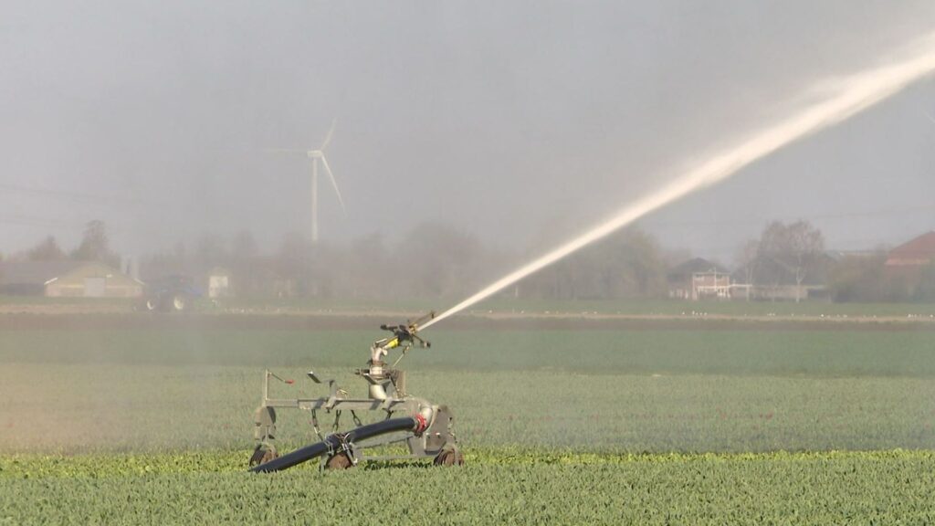 Droogste maart ooit noopt boeren tot improviseren