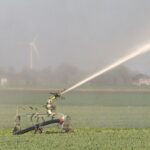 Droogste maart ooit noopt boeren tot improviseren