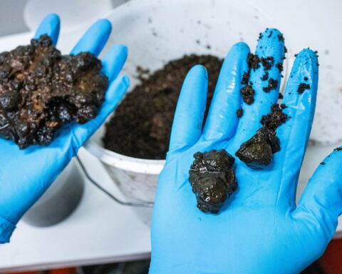 Mijnbouw in je achtertuin? Zweden daagt burgers uit om te graven