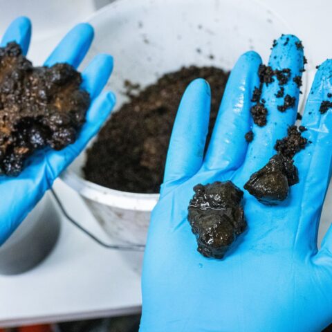 Mijnbouw in je achtertuin? Zweden daagt burgers uit om te graven