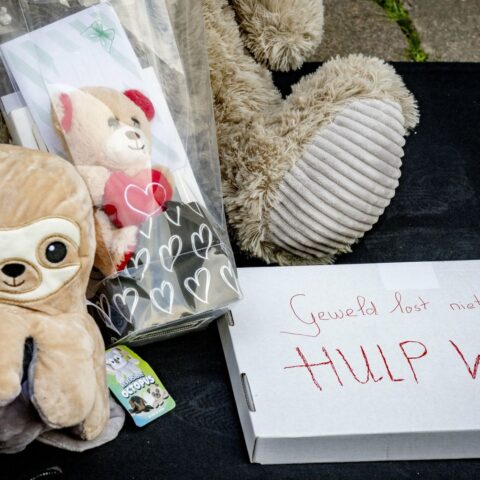 Pleegzorg ver onder de maat bij organisatie die Vlaardings meisje begeleidde