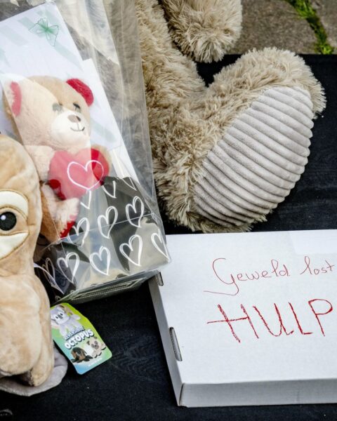 Pleegzorg ver onder de maat bij organisatie die Vlaardings meisje begeleidde