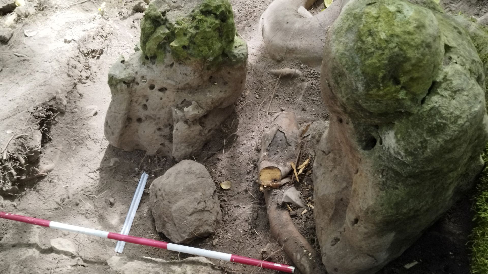 Restanten van 3000 jaar oude Mayastad gevonden in Guatemala