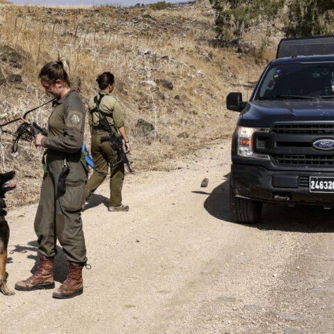 Nederlandse diensthonden als ‘huisdier’ geëxporteerd naar Israël
