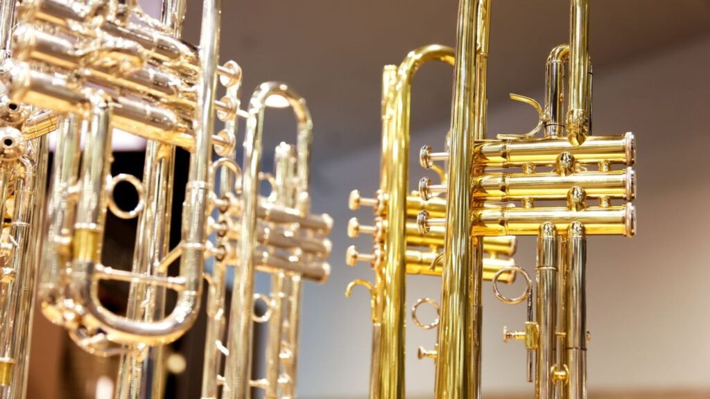 Tientallen trompetten gestolen bij Limburgse muziekwinkel, 150.000 euro schade