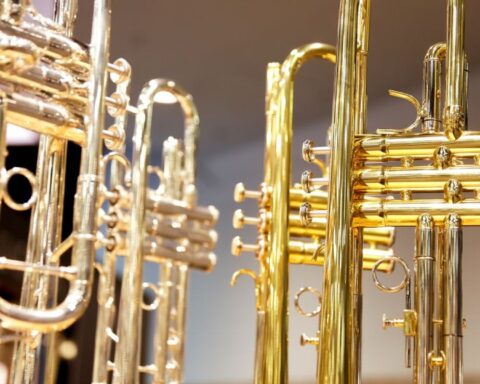 Tientallen trompetten gestolen bij Limburgse muziekwinkel, 150.000 euro schade
