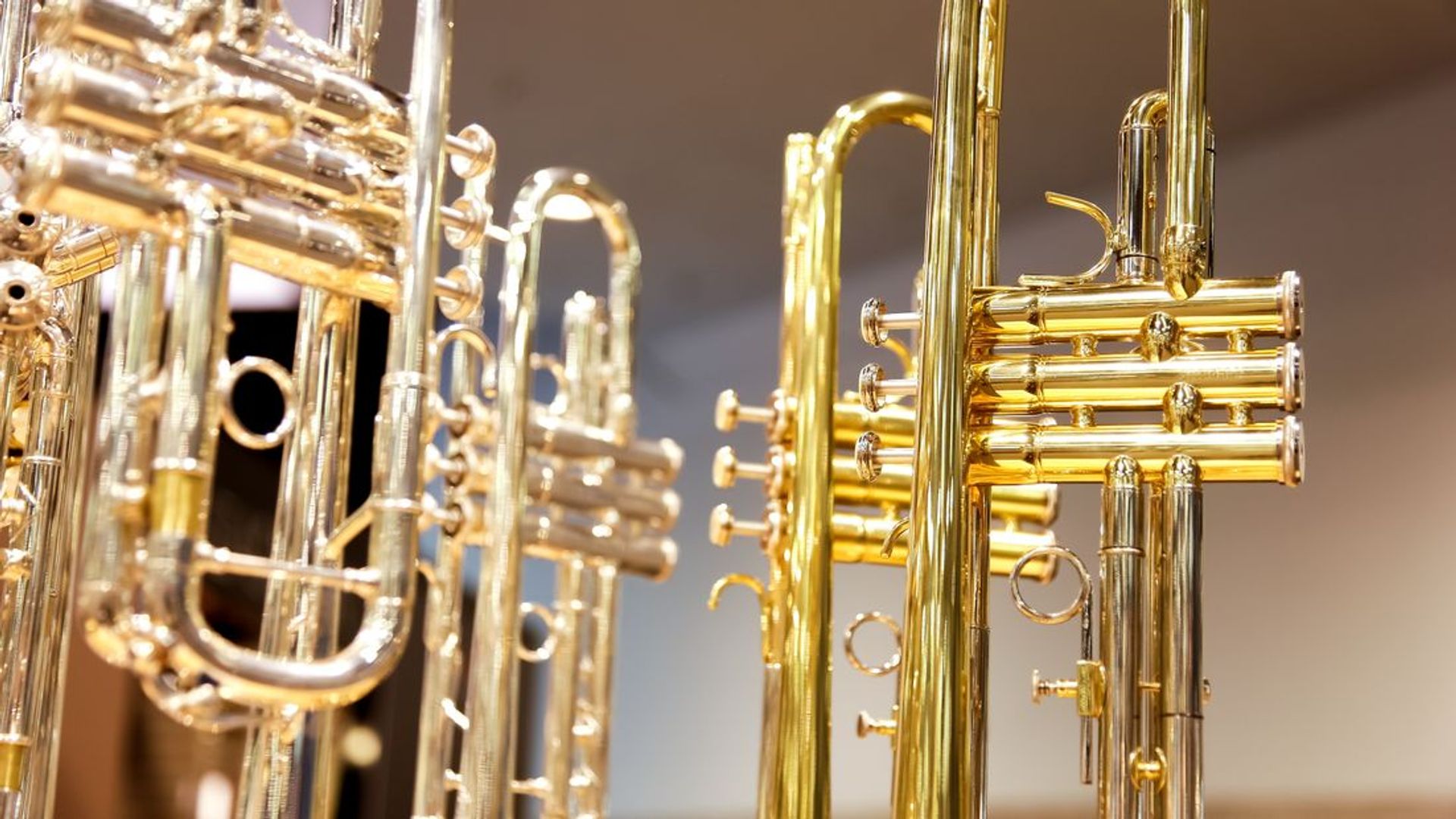 Tientallen trompetten gestolen bij Limburgse muziekwinkel, 150.000 euro schade