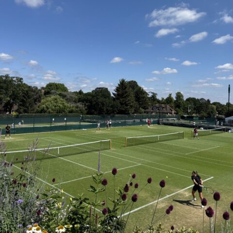 Wimbledon 2025: ontspannen Djokovic, Sabalenka's potentie en debuterende Nederlanders