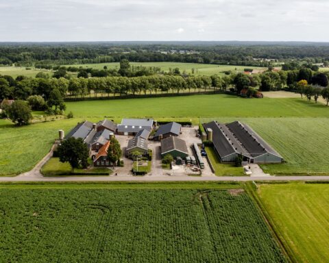 Bestuurders én boeren komen met nieuw stikstofvoorstel, dwang niet uitgesloten