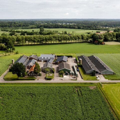 Bestuurders én boeren komen met nieuw stikstofvoorstel, dwang niet uitgesloten