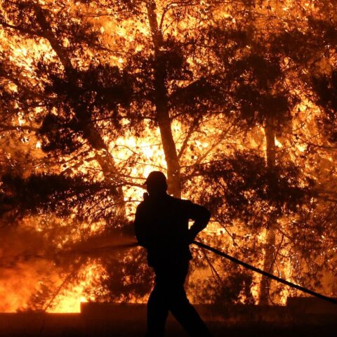 Duizenden brandweerlieden ingezet bij grote natuurbranden in Zuid-Europa