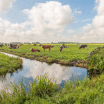 Arbeidsmigranten blijven langer: behoefte aan permanente huisvesting op het platteland
