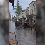 Bestuurder rijdt in op politiepaarden in Den Bosch centrum