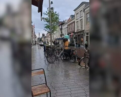 Bestuurder rijdt in op politiepaarden in Den Bosch centrum