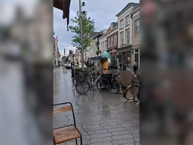 Bestuurder rijdt in op politiepaarden in Den Bosch centrum