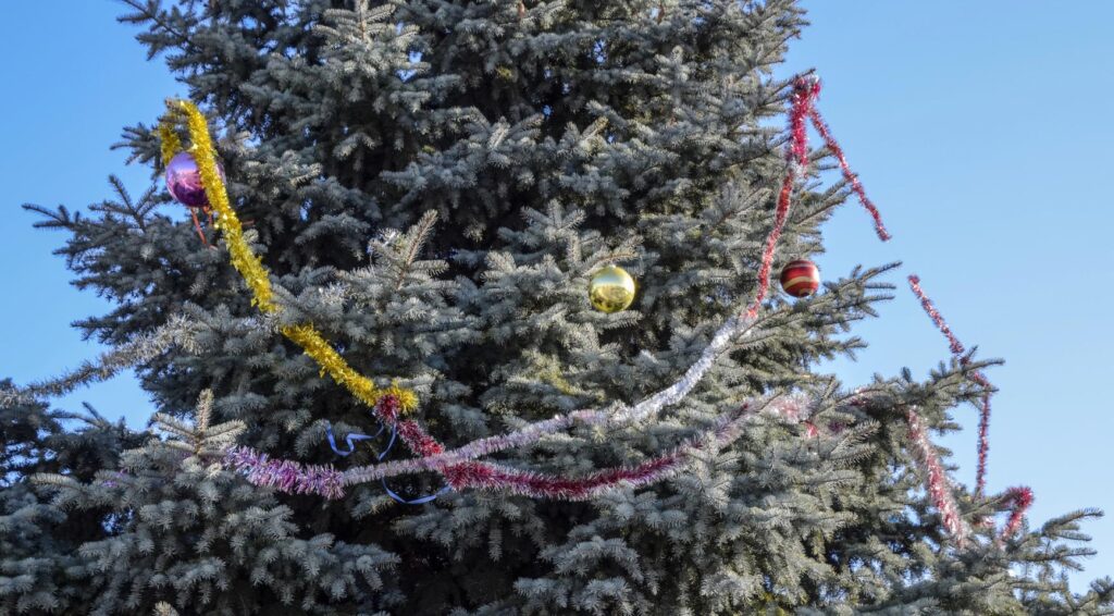 Gemeente Utrecht bekritiseerd om schoonmaakkosten van €77.000 voor kerstboom