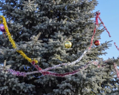 Gemeente Utrecht bekritiseerd om schoonmaakkosten van €77.000 voor kerstboom