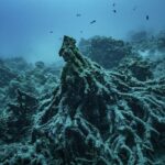 Landen moeten schade door klimaatverandering voorkomen, besliste ICJ