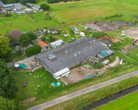 Meer dan 70 verwaarloosde honden gered uit boerderij in Oosterwolde