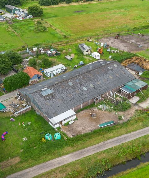 Meer dan 70 verwaarloosde honden gered uit boerderij in Oosterwolde