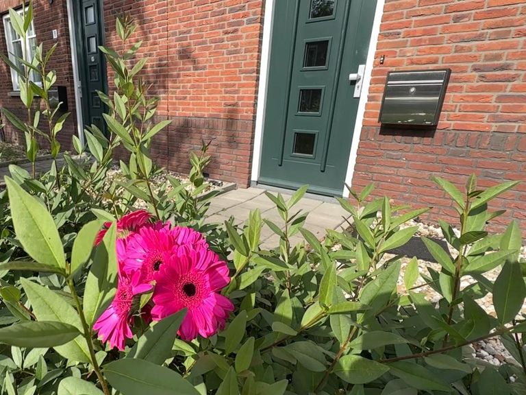 Vrouw overleden na geweldsincident, vriend van 35 jaar verdachte