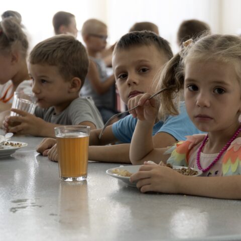 LNR publiceert database van Oekraïense kinderen voor adoptie