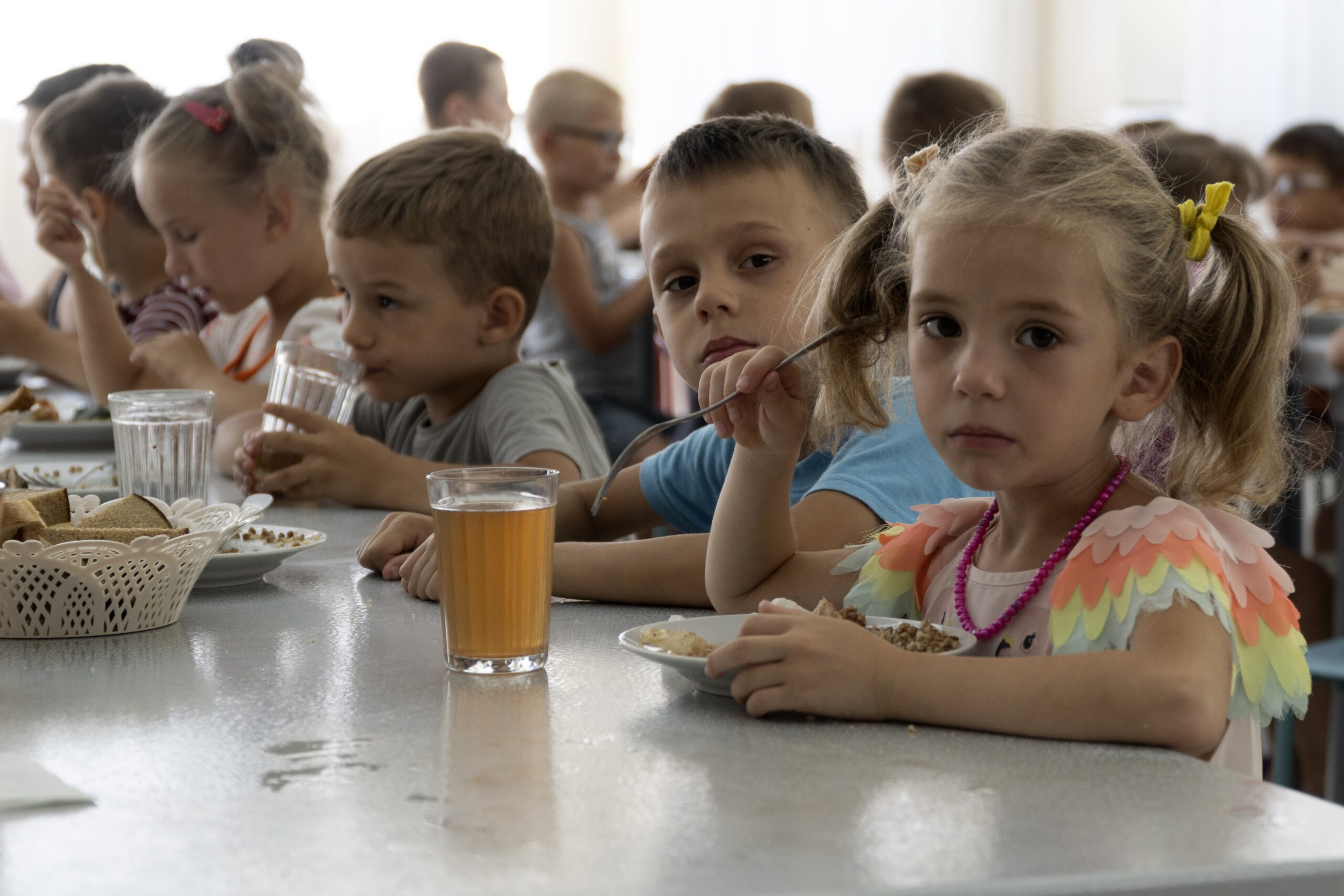 LNR publiceert database van Oekraïense kinderen voor adoptie