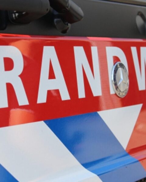 Brand verwoest 40 auto's op autosloperij in Wernhout, magazijn gespaard