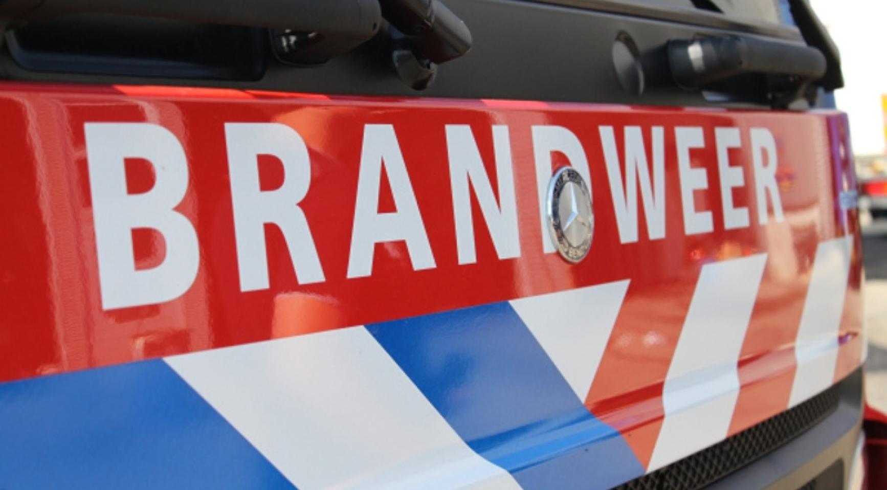 Brand verwoest 40 auto's op autosloperij in Wernhout, magazijn gespaard