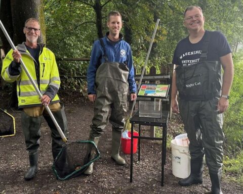 DNA-onderzoek naar beschermd prehistorisch visje in Gelderse wateren