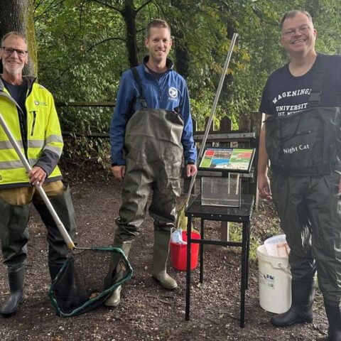 DNA-onderzoek naar beschermd prehistorisch visje in Gelderse wateren