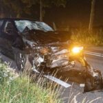 Drie waterbuffels doodgereden na aanrijding met auto in Assendelft