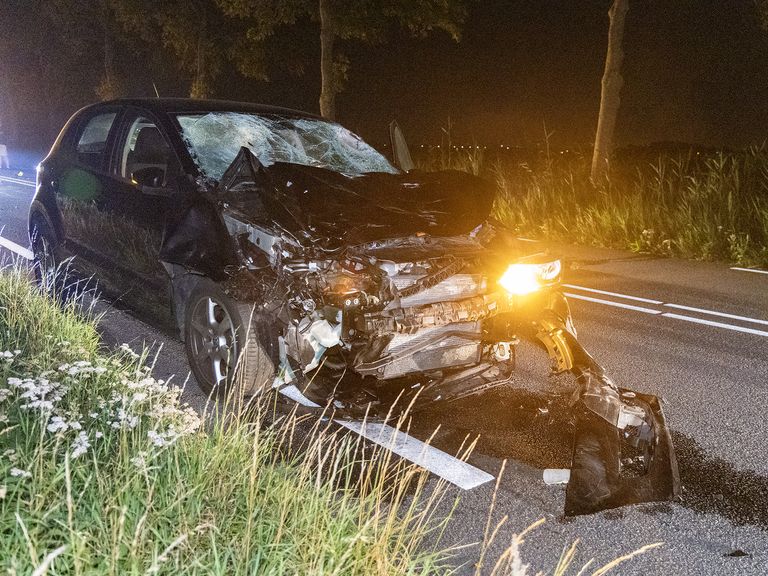 Drie waterbuffels doodgereden na aanrijding met auto in Assendelft