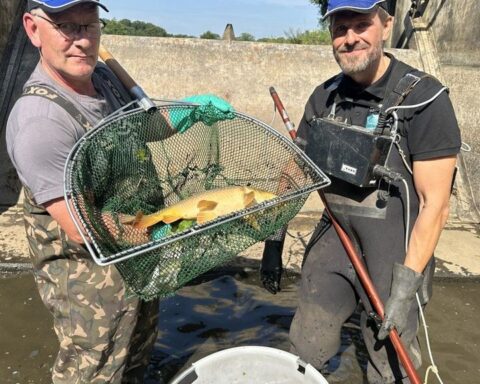Duizenden vissen gered van uitdroging in Varsseveld