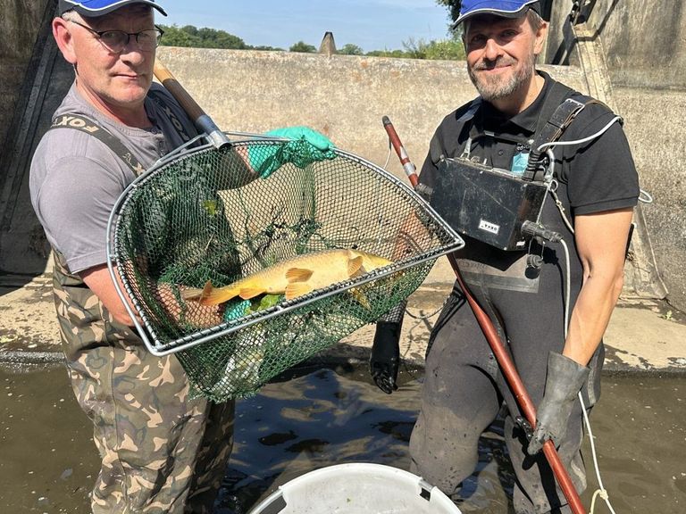 Duizenden vissen gered van uitdroging in Varsseveld