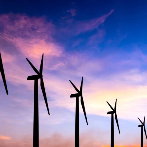 €400 miljoen korting op windparkvergoeding veroorzaakt woede in de Nederlandse energiesector