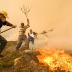 Europees record bosbranden: kleinste vonkje kan leiden tot grote brand