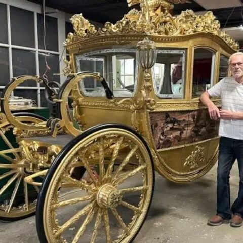 Gouden koets voltooid door jonge droomrealist
