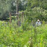 Hitte maatregelen genomen tijdens studenteninformatie; zwemmer gered bij Terschelling