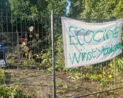 Kap van Betonbos in Groningen stilgelegd na observatie van beschermde diersoorten