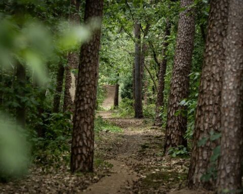 Man in Zeist mogelijk verantwoordelijk voor twee incidenten en kleedde zich om tussen de feiten