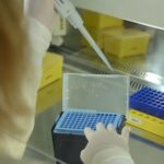 Medische data-inbreuk groter dan gedacht: ook informatie over penisonderzoek gestolen