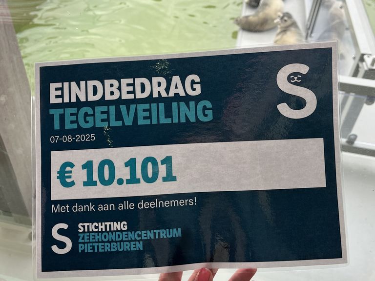 Meer dan 10.000 euro voor oude tegels in Pieterburen ter gelegenheid van 'Japanniversary'