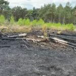 Natuurbrand vernietigt een gebied ter grootte van tien voetbalvelden in Brunssummerheide