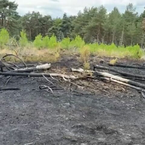 Natuurbrand vernietigt een gebied ter grootte van tien voetbalvelden in Brunssummerheide