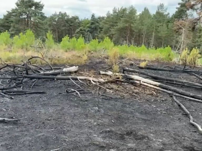 Natuurbrand vernietigt een gebied ter grootte van tien voetbalvelden in Brunssummerheide