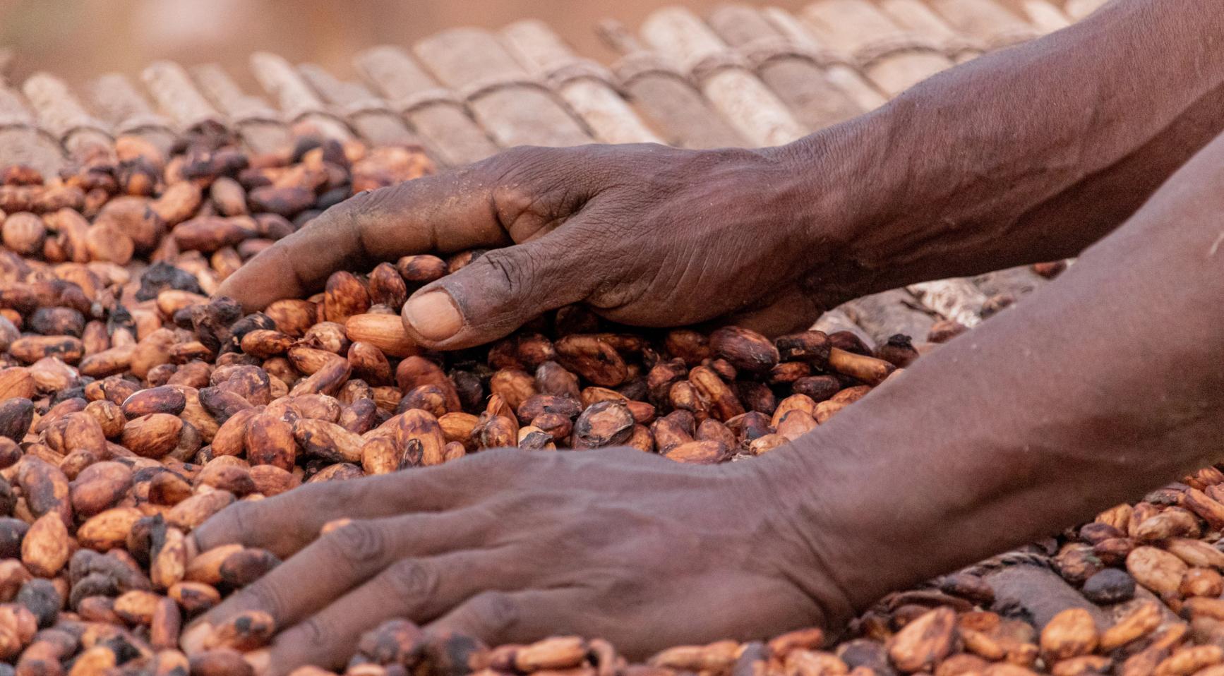 Nederlandse toezichthouder onderzoekt claims over "duurzaamheid" van chocolade- en koffiebedrijven
