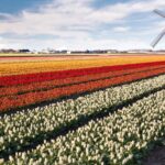 Partij voor de Dieren eist 5% van ВВП Нидерландов на климат и природу